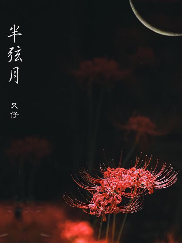 半弦月意境诗词