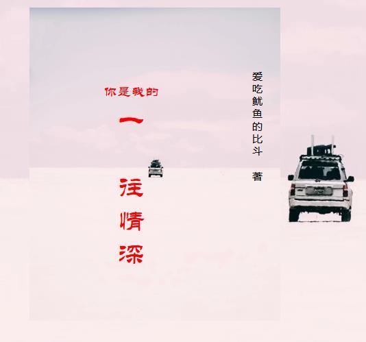 你是我一生的情怀