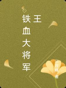 铁血将军第六集