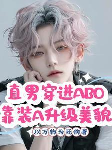 直男穿到晋江