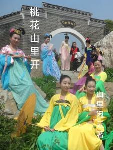 桃花山上桃花庵 歌曲