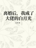 离婚后我成了总裁的白月光免费阅读