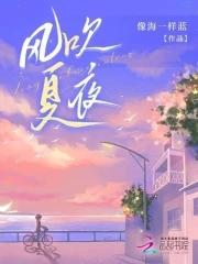 夏夜晚风hush