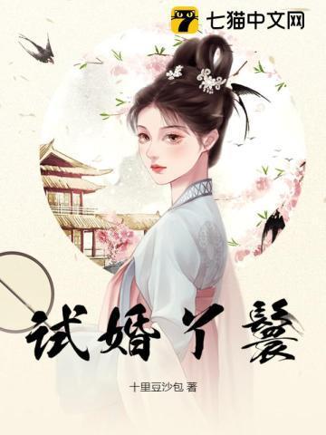 试婚丫鬟锦鸢结局