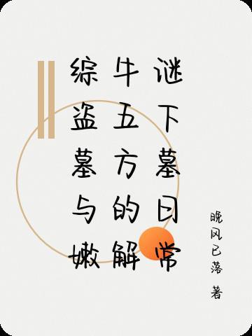 综盗墓