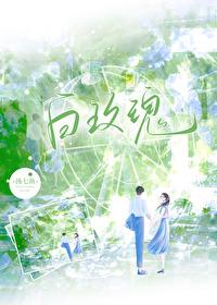 白玫瑰的花语