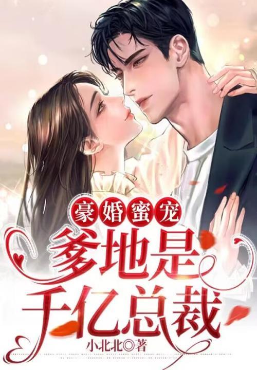 千亿豪宠爹地妈咪有马甲