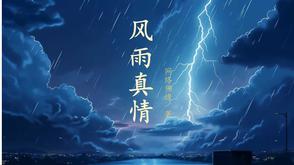 风雨真情什么意思