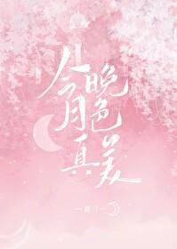 今晚月色真美谁翻译的