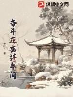 奋斗在嘉靖年间结局是什么