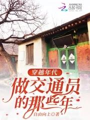 做交通员的那些年TXT