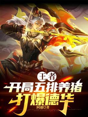 王者荣耀五排养猪流阵容