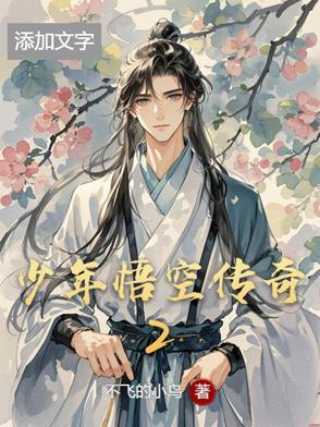 少年悟空tv版
