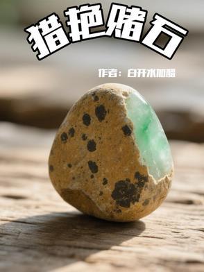 风流透视赌石神医高手免费