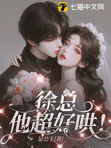 徐总