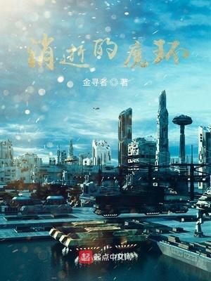 消逝的魔环评论