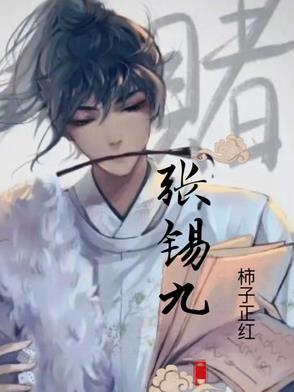 张锡九成都