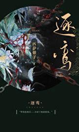 逐鸾免费阅读