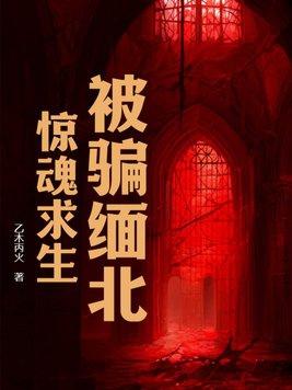 被骗缅北