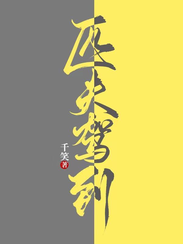 匹夫驾到男主真正身份