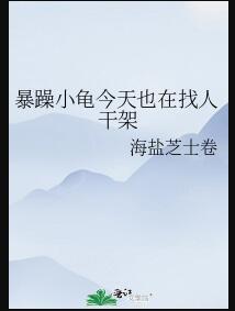 暴躁小龟今天也在找人干架大结局