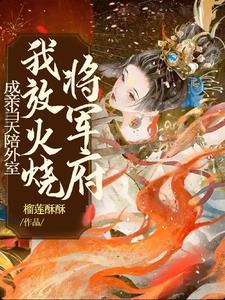 成亲当天陪外室我放火烧将军府