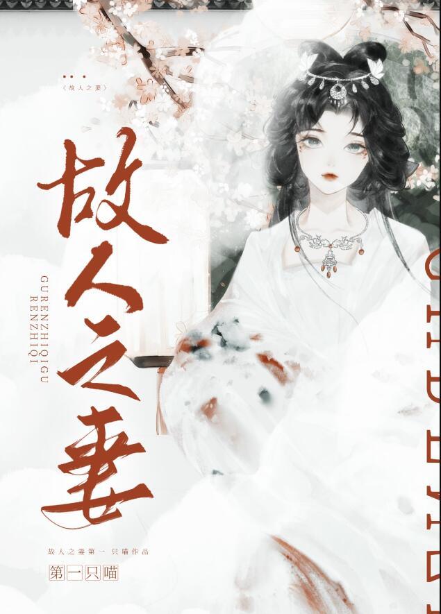 故人之妻讲的什么