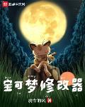 宝可梦修改器主角精灵