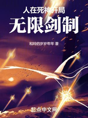 开局无限剑制百度百科