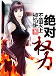 绝对权力免费阅读全文
