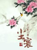 仙婴降尘寰