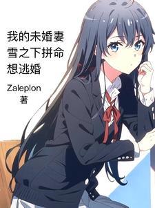 电视剧我的未婚妻