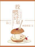 明星系统全本