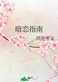 暗恋指南 风流书呆晋江