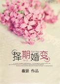 择期婚变男主有睡女主吗