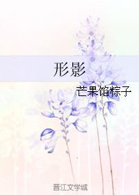形影相吊翻译