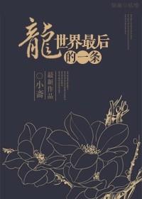 修正界最后一条龙